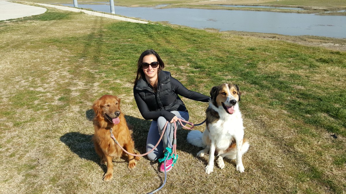 everandANNEon's tweet photo. My furry Valentine's! #dallaspack https://t.co/CKKNJRpYBx