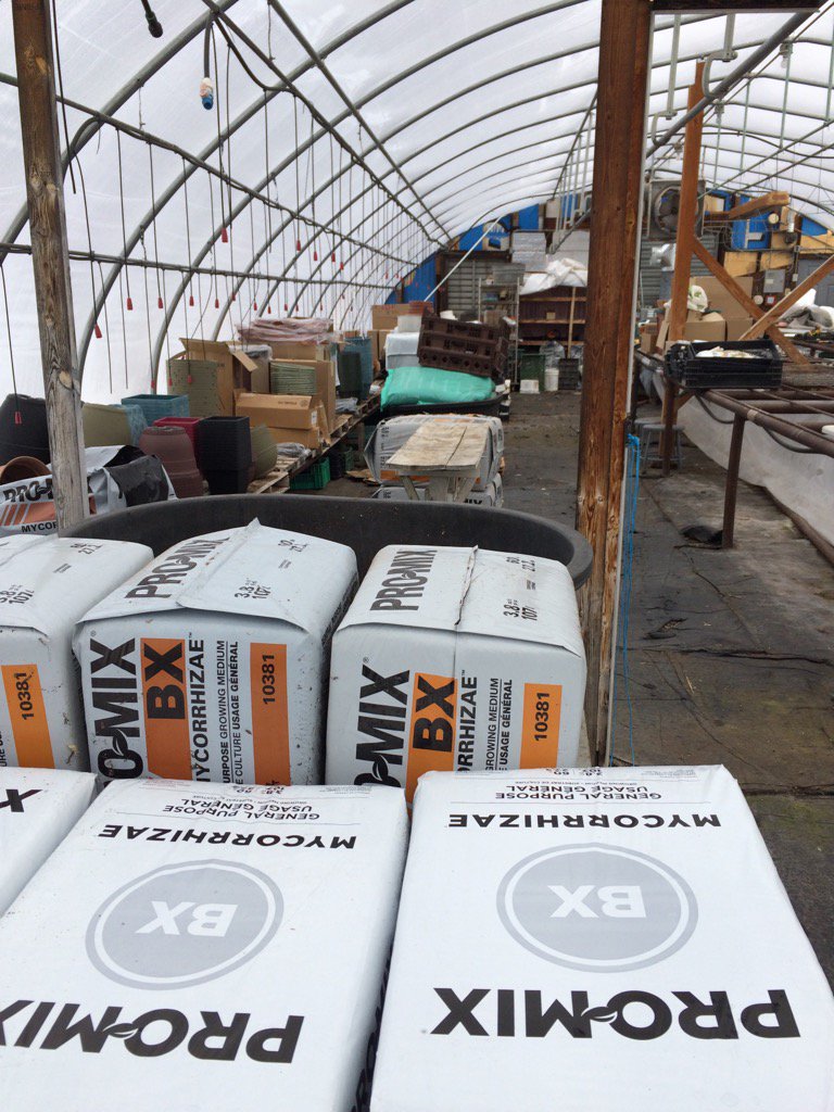 danagrows's tweet image. Promix and pots ready to go. Waiting on #plants