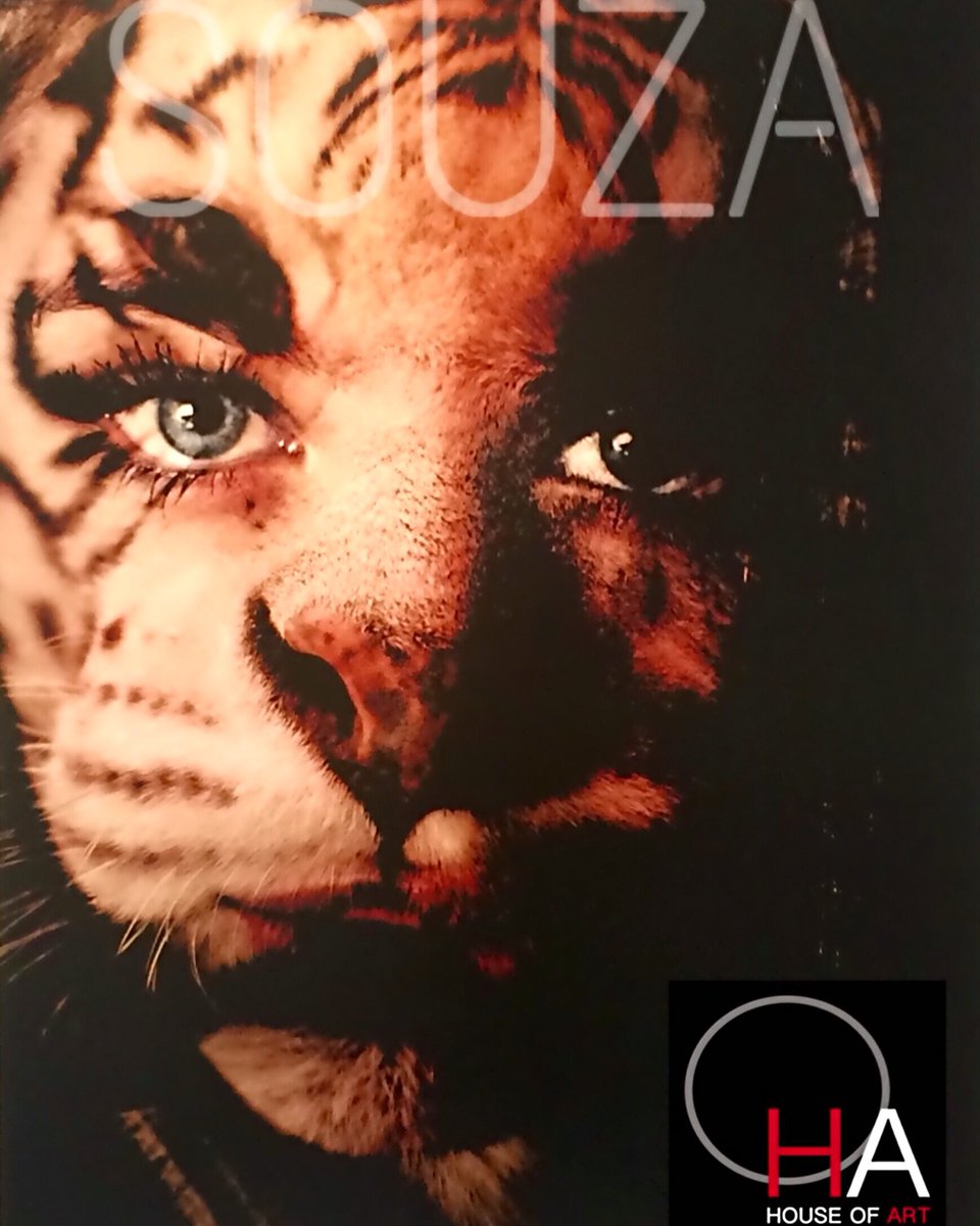 FPSTUDIO2's tweet image. Amazing #artwork by #souzaimagery at #thehouseofart #art #images