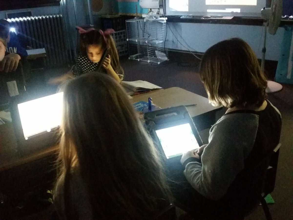 caseymichelle22's tweet photo. #EM3rdGradeRocks working hard yesterday to pass their levels! #emwolves #LexiaLearning https://t.co/X89SjdfBNC