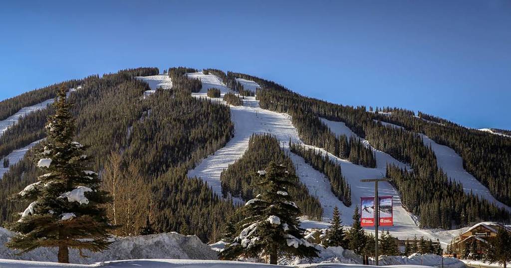 #Sunshine to start the #Saturday!