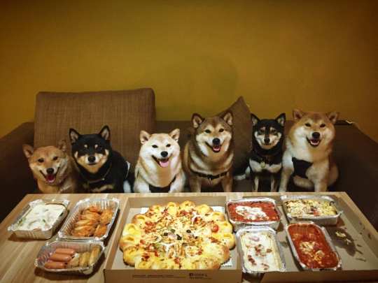 dogecoin's tweet photo. Pictures from a Dogecoin community meeting https://t.co/xOOkXXoK1N