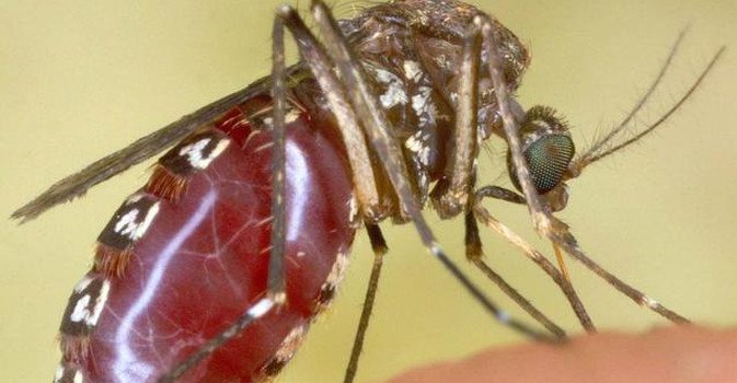 Virus Zika: aumentano i contagiati in Colombia