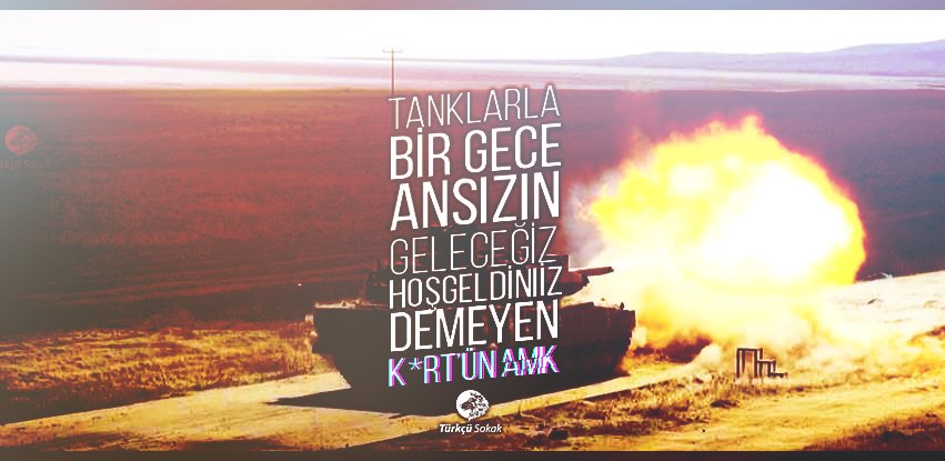 Türkçü Sokak (@turkcusokak2015) on Twitter photo 