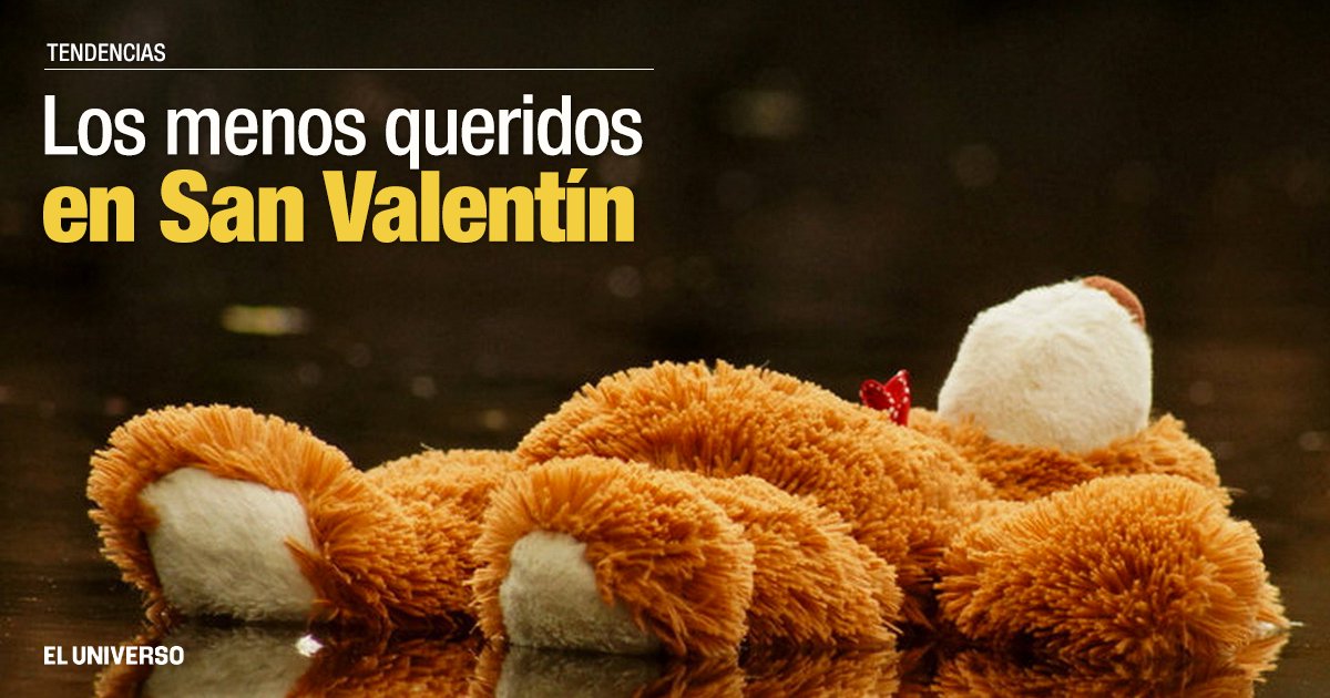 el universo del peluche