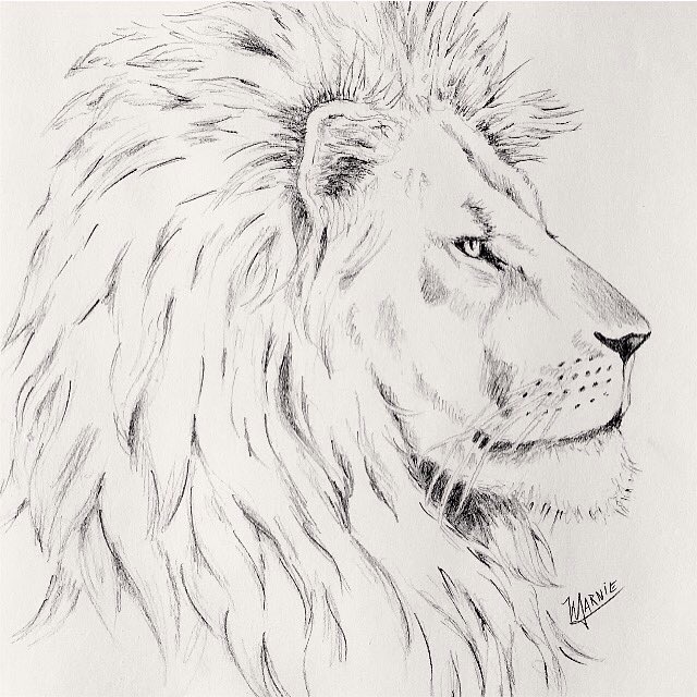 PakaPride's tweet photo. Fashion @nyfw that matters | Join us & help protect #Lions and other #BigCats with wearable art! #SaveALion #NYFW https://t.co/paX7nPrVui