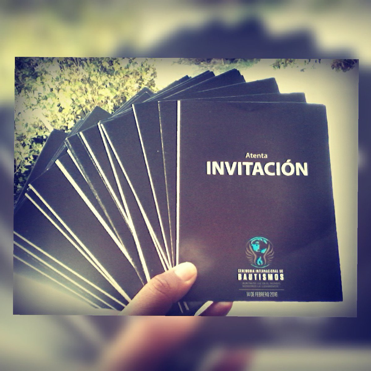 MtzCesi's tweet photo. T O L U C A México <3 
#LdmBautismos 
#SoyLuzdelMundo https://t.co/Ie0TjdU1R2