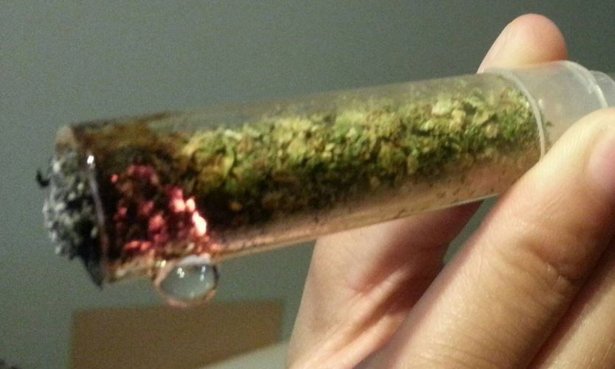 CdnGreen tweet picture