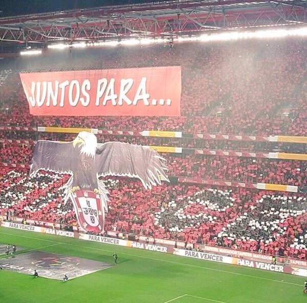 hools1969's tweet photo. Impresionante ambiente en el Benfica - Oporto https://t.co/GudWIODRmX