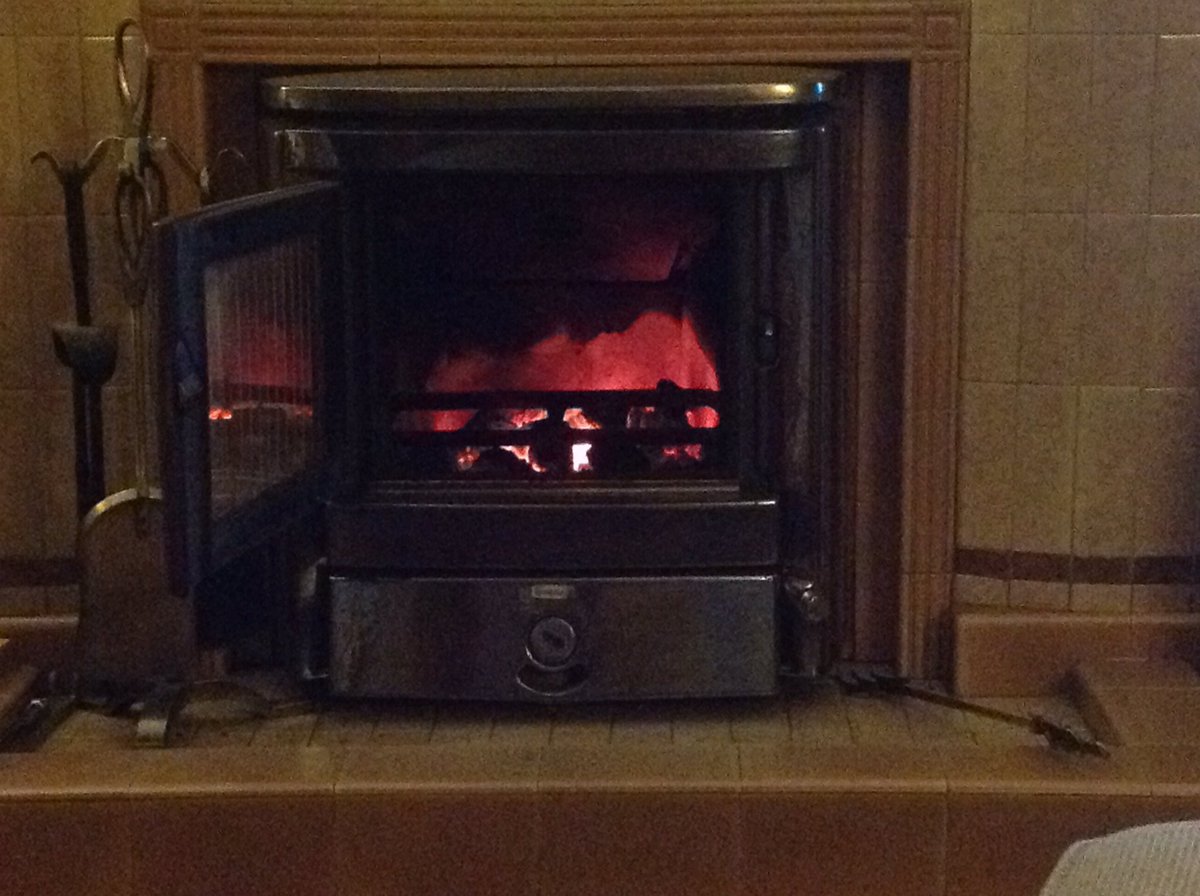 MrFrankieBear's tweet photo. #toastytoes #bearynice #fuzzyfur #happybear #hibernating 👀 https://t.co/aPPF2JDZcy