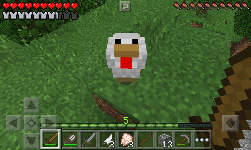 katedaren13's tweet photo. That feeling, when stupid chicken from Minecraft look at you and say nothing
#StupidChicken 
I am mad😂😂😂😂 https://t.co/RCmKANF5kN