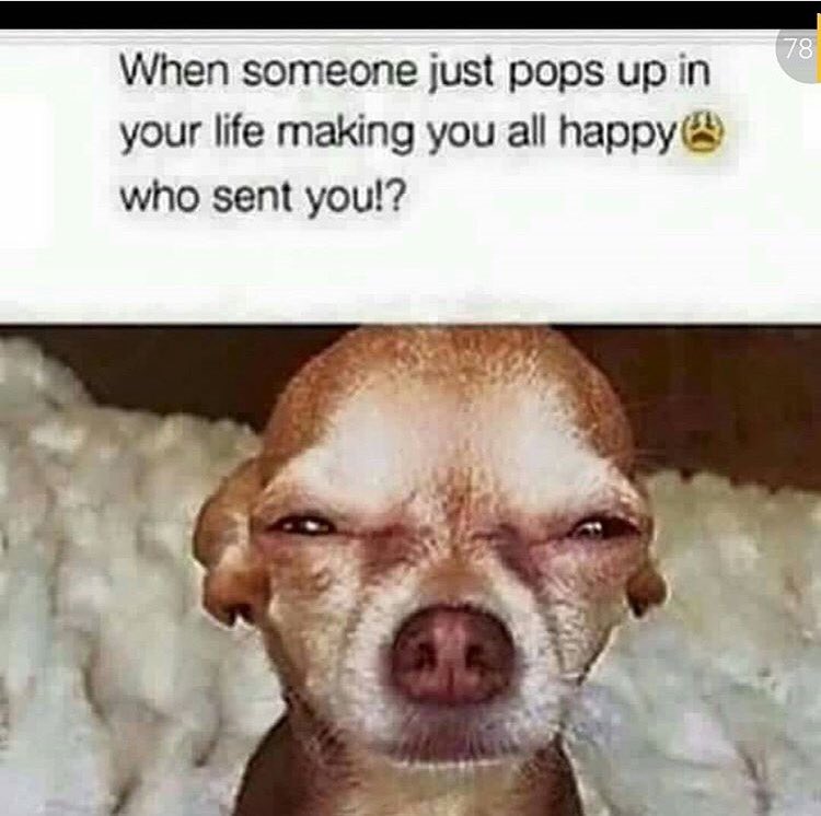 Ms_GottaLot's tweet photo. 🤔🤔 word lol https://t.co/fqJY8WZDWF