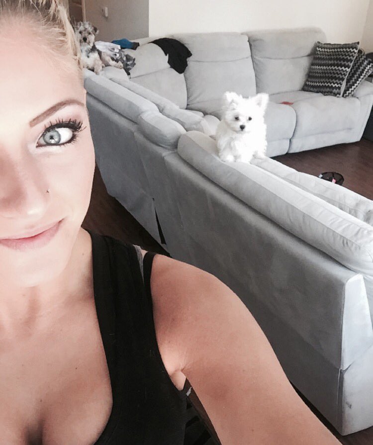 MissSpiteful's tweet image. Teddy and Izzy are up to no good today. #SupPups #MyBabies 🐶🔮