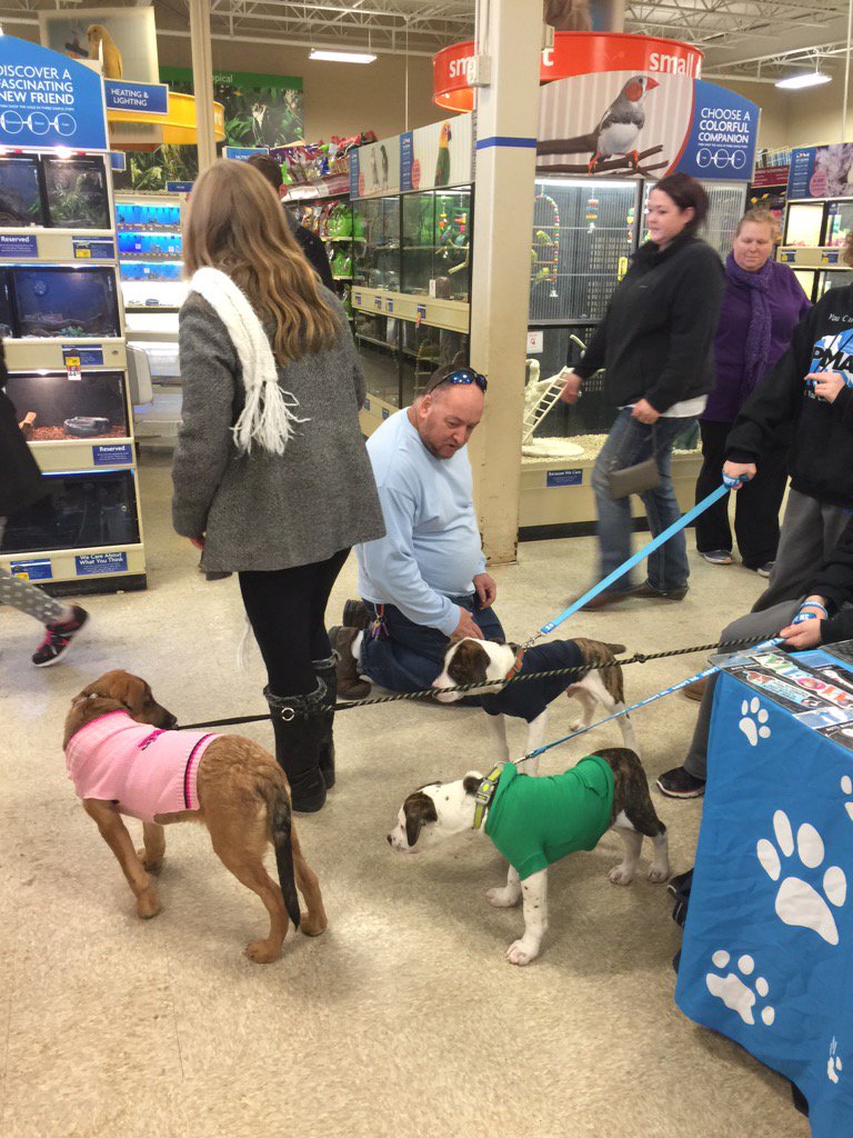 hdmuscle12's tweet photo. Alright follow the leader its potty time @PetSmart  #adoptlove @1651 https://t.co/iIGfxQgXVG