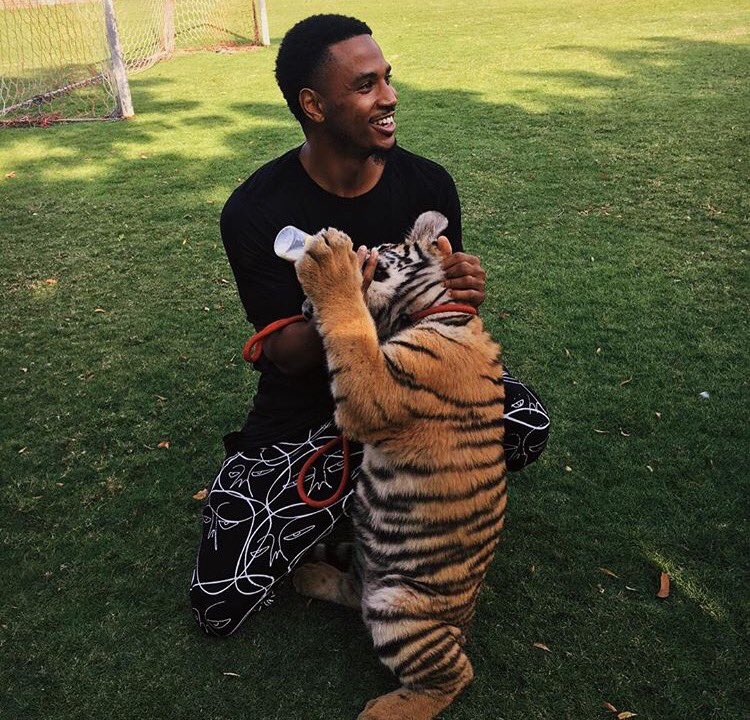 TreySongz's tweet photo. 🍼🐅 https://t.co/w7q4o9PbhQ