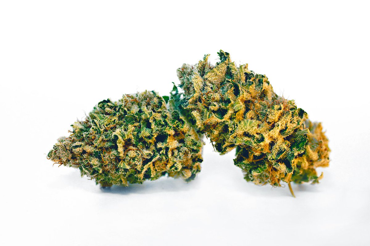 GrowingKitchen's tweet photo. Growing our own #cannabis means we know that quality is never compromised during any stage of growth. #pesticidefree https://t.co/LHMTnALVQw