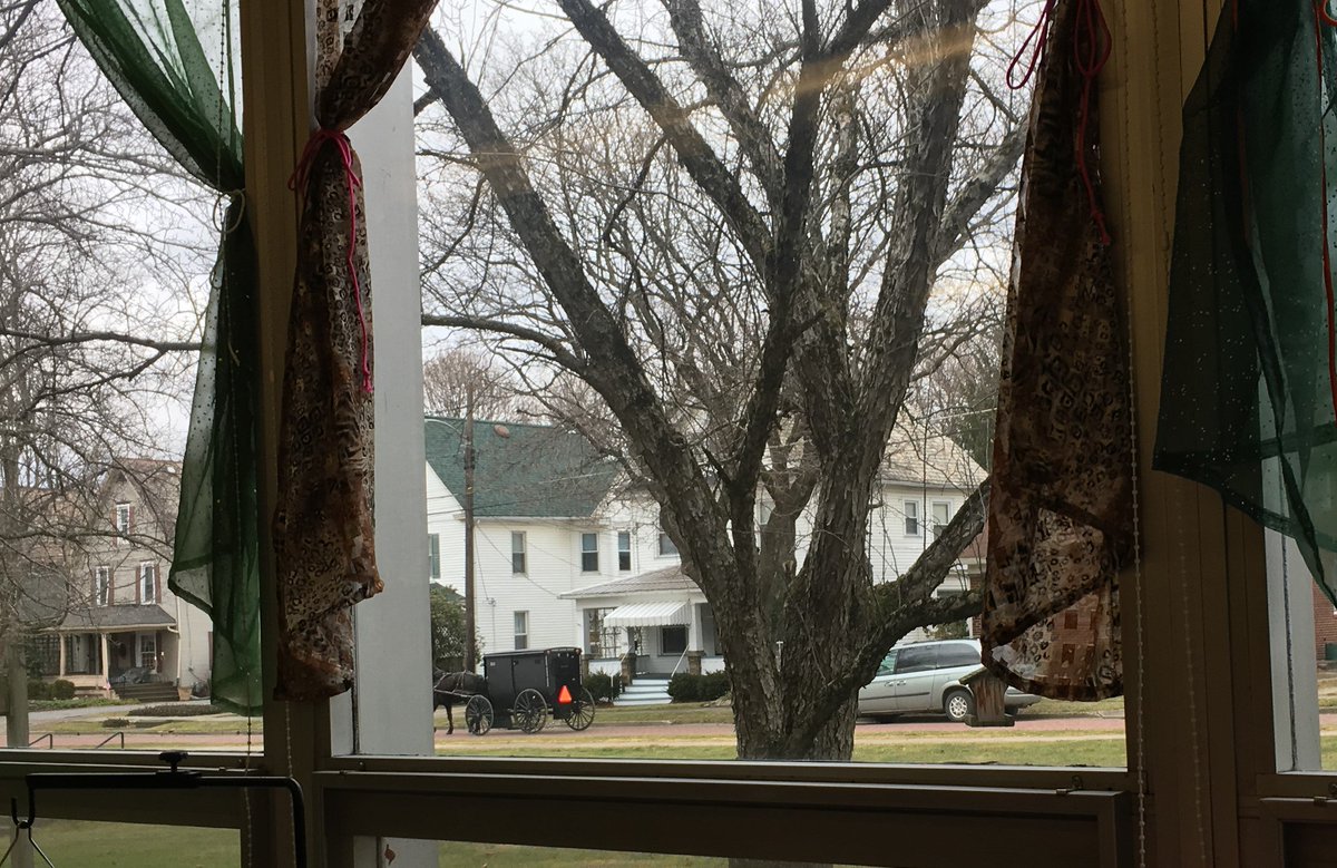 futuristicfoxes's tweet photo. A view out our classroom window (last week of January.) This week you would have seen snow! :) https://t.co/6sIUwJO3uU