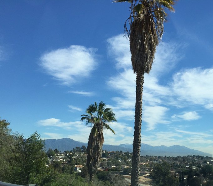 A spectacular Los Angeles vista. https://t.co/8XyXcww8An<a href="/tag/waldorffarm"class="tags"><span>#waldorffarm</span></a>