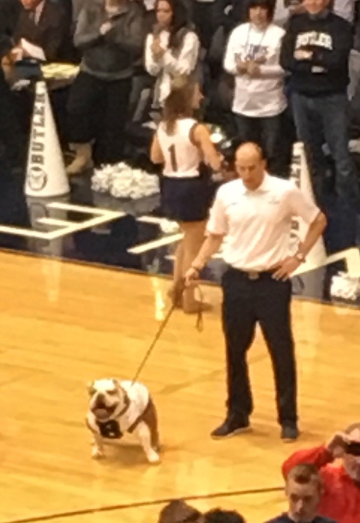 TheXavierPopes's tweet image. Lol @ButlerBlue3