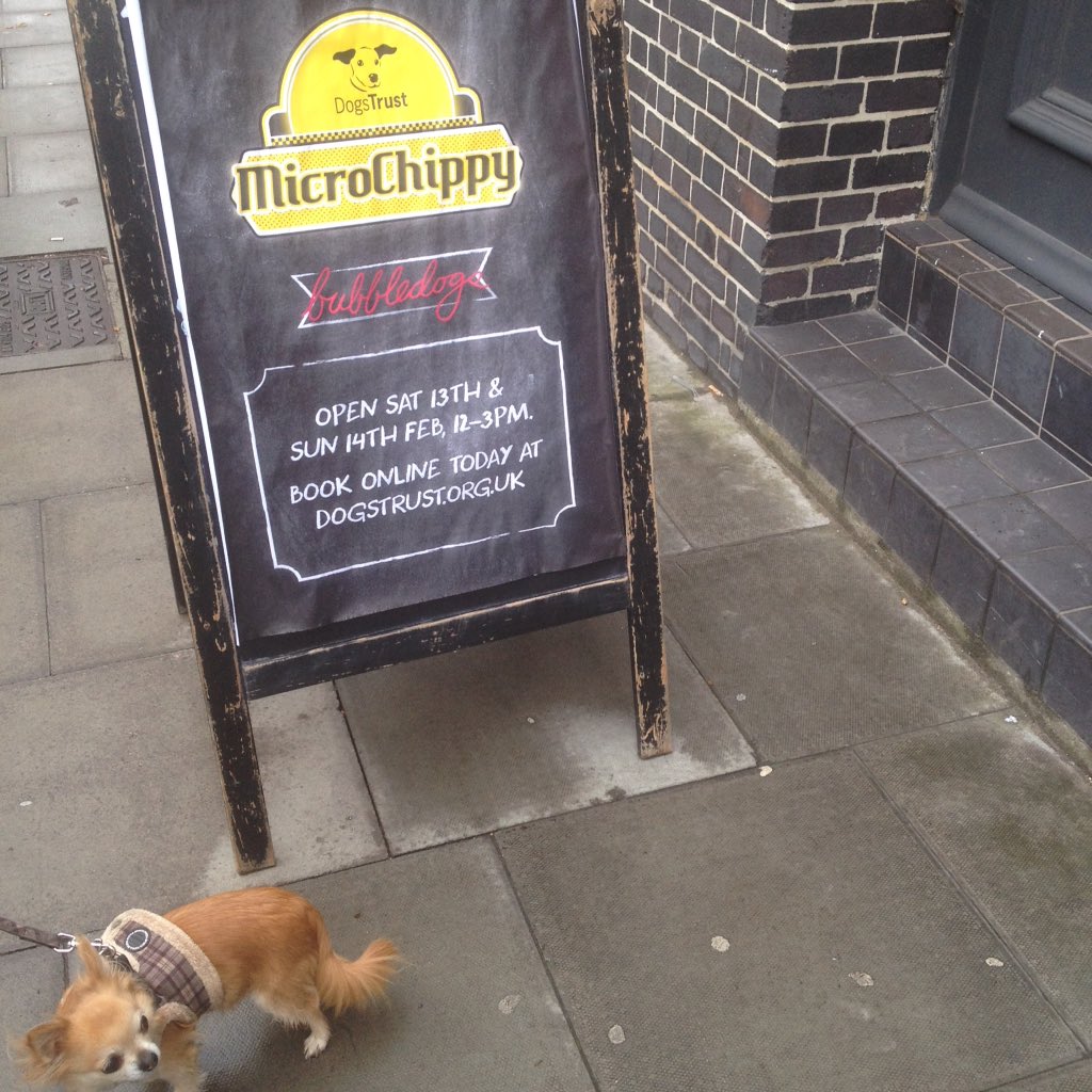 sophieflorencee's tweet photo. Today was too cute #MICROCHIPPY ๐๐ถ๐ญ๐ญ๐ท https://t.co/T2RCxiFxuf