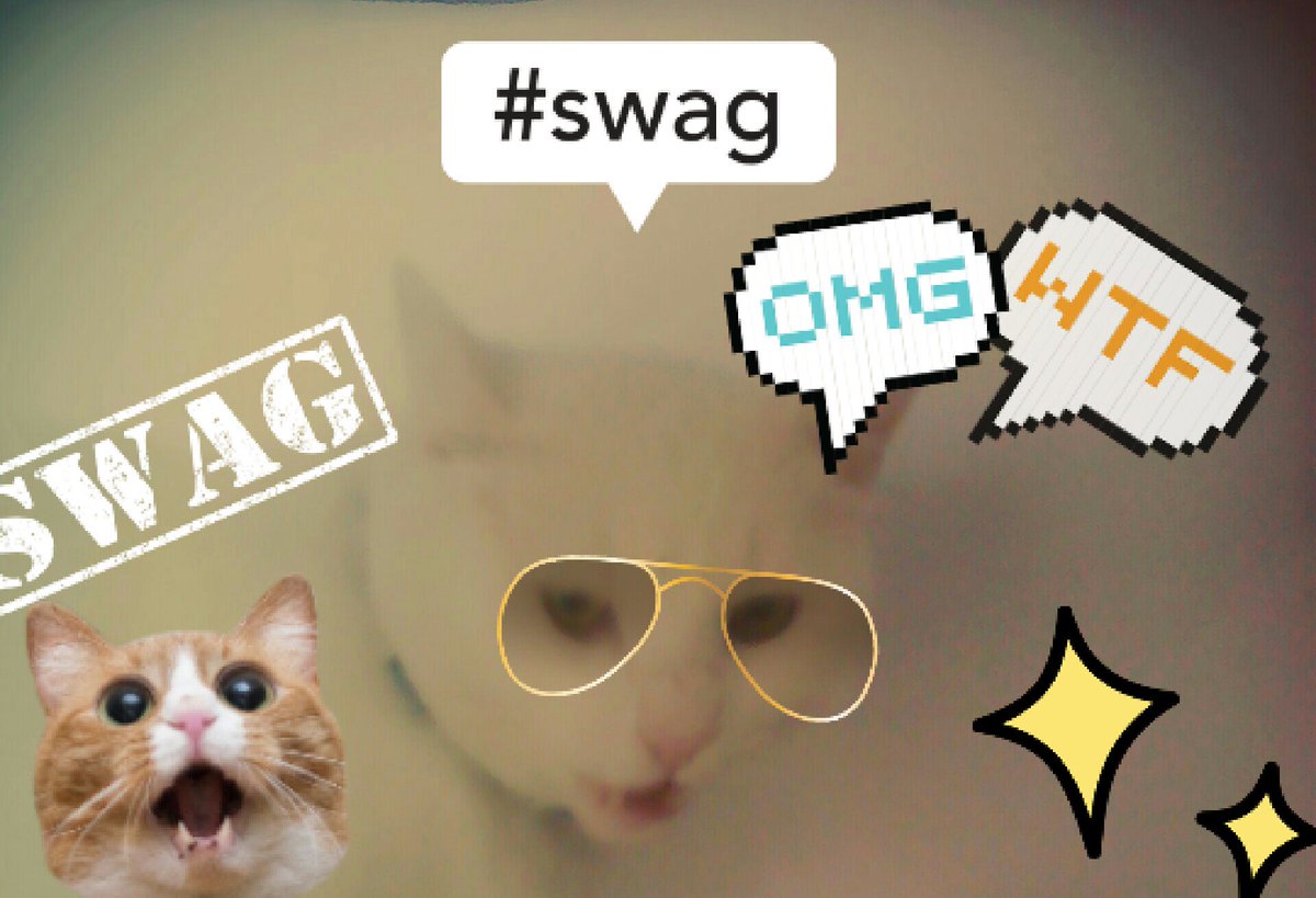 KittyBearPower's tweet photo. #mycat #ist #SWEG #lol https://t.co/L8dNy3T6Nd