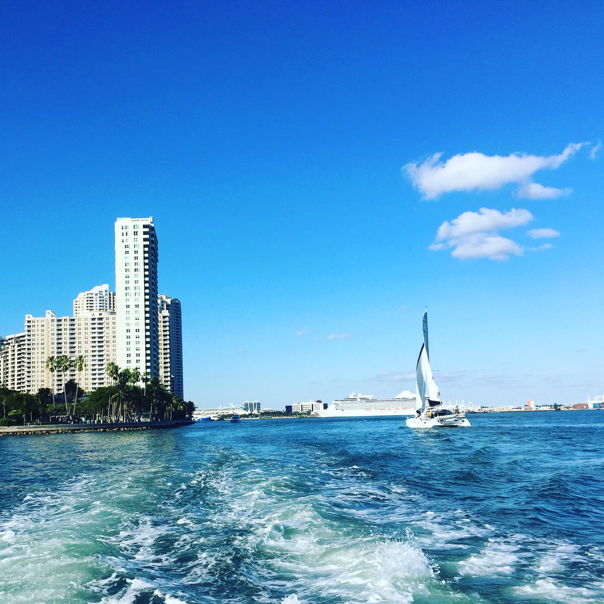 livingnmiami's tweet photo. Beautiful day to be in a boat! 🚣😍 #Miami #BoatShow #winterinMiami #movetomiami #buyinMiami #waterviews #realestate https://t.co/hsYPm3BzQW
