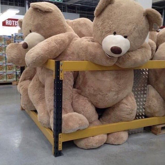 waiibearbie tweet picture