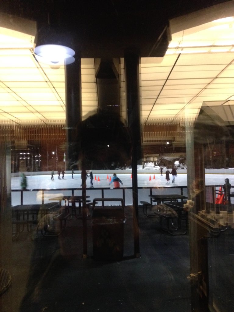 Late night skating in Central Park #frosty