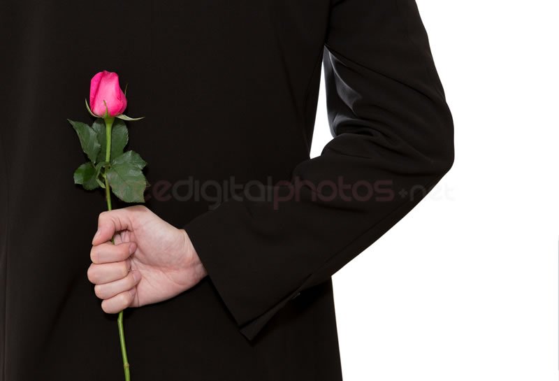 fdigitalphotos's tweet photo. Which colour rose? Deep pink roses symbolise gratitude. #ValentinesDay https://t.co/CfWeb3XaUy