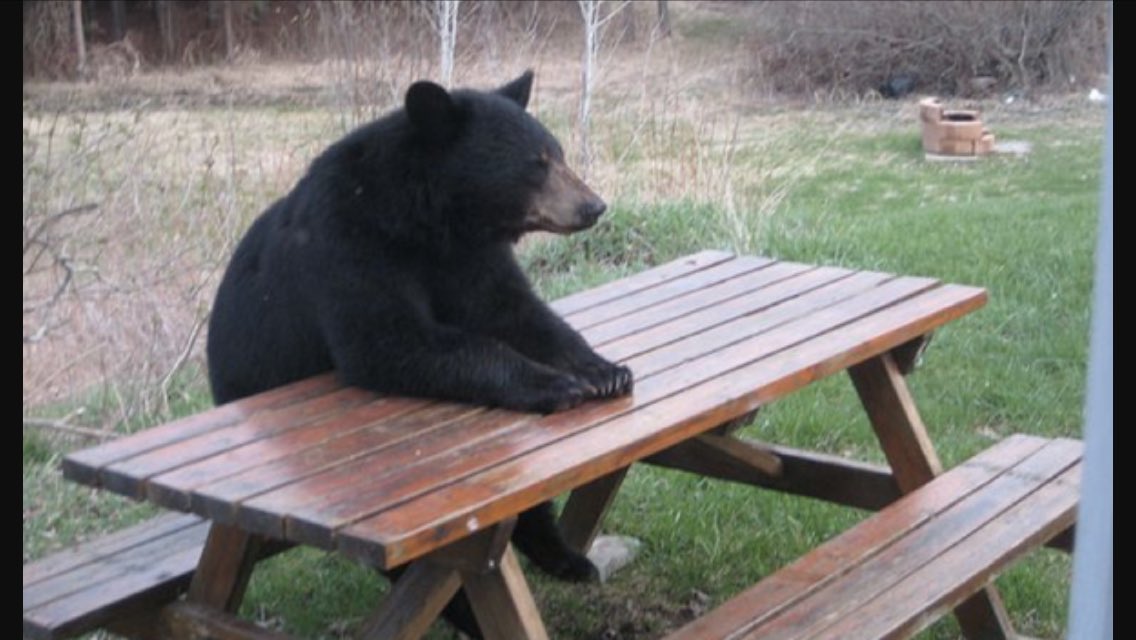 <a href="/RolePlayReact/">Roleplay Reactions</a> {When your waiting patiently for your SL partners to reply to your SL while they RP with others.}