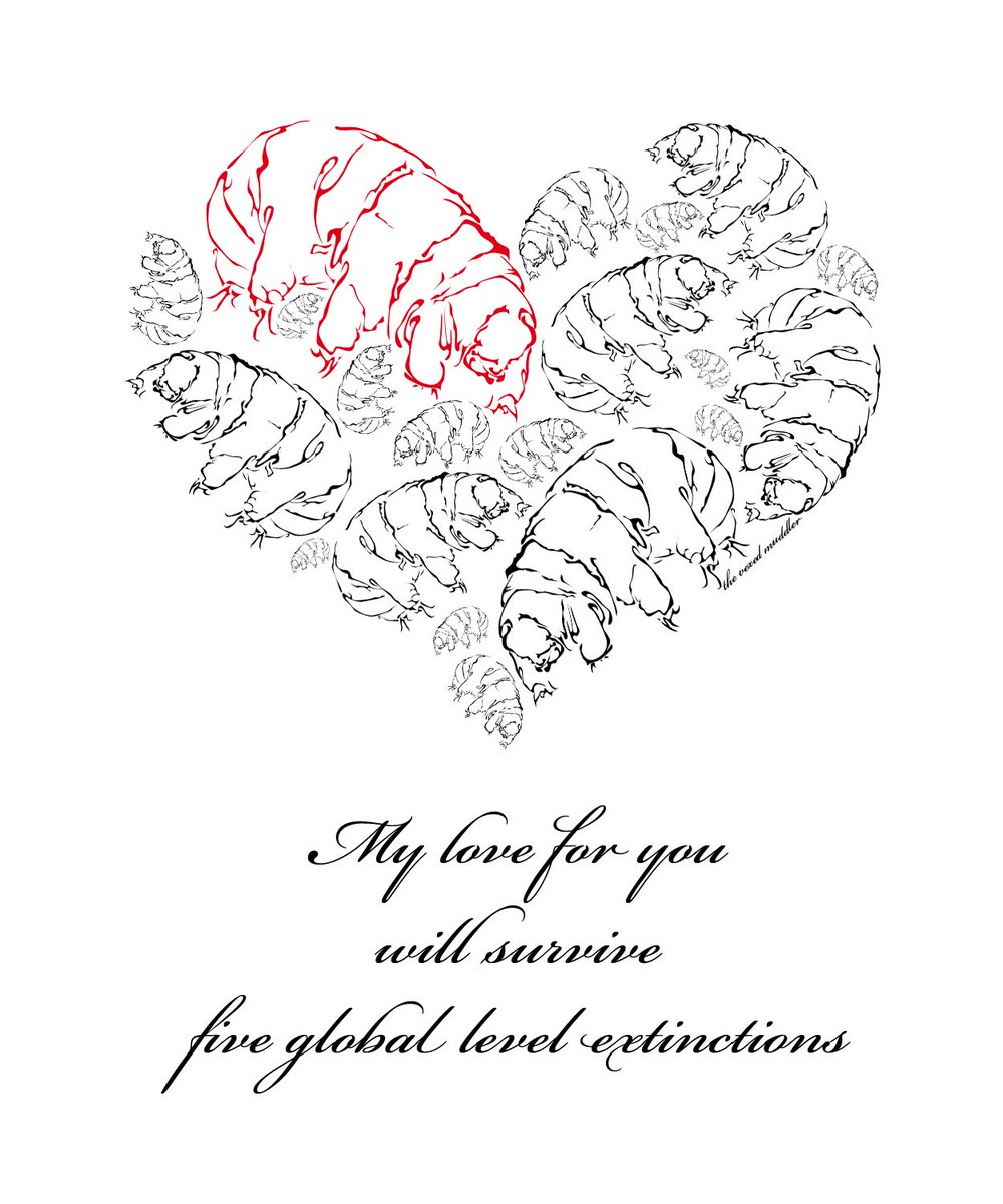 Peggy Wolven tweet media