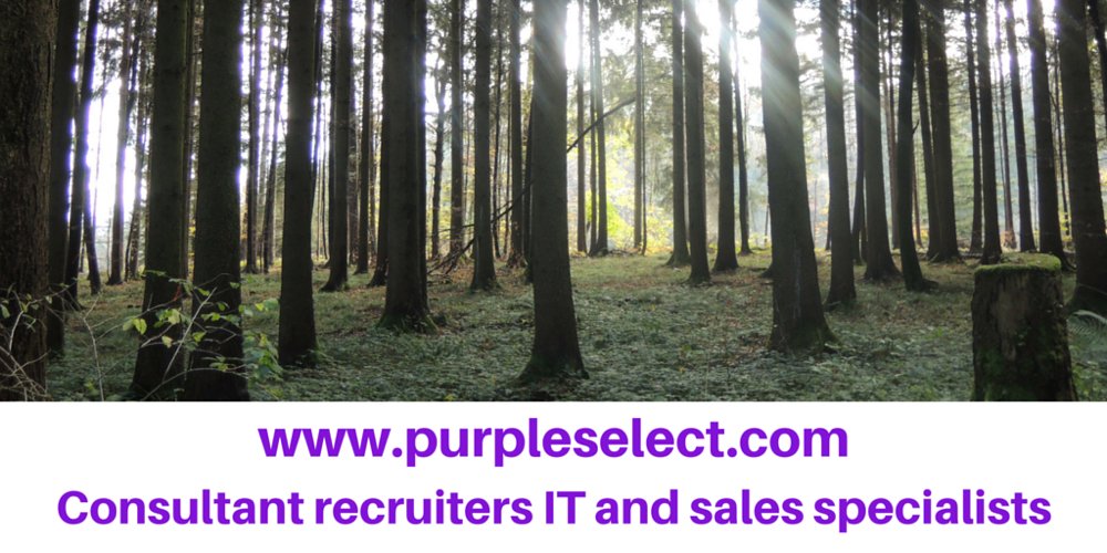 PurpleSelect's tweet photo. #startups What lessons I learnt when starting my business https://t.co/WnndicU6fh #gründerstorys https://t.co/tbbyLTr2gp