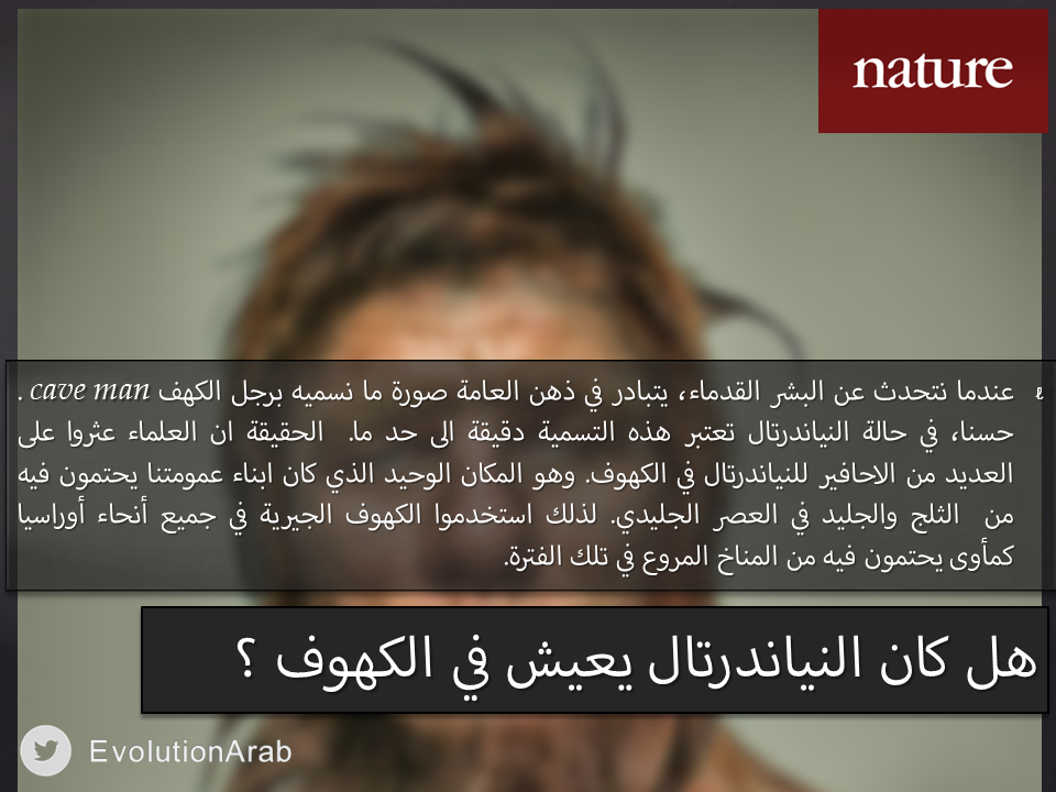 EvolutionArab's tweet photo. هل كان #النياندرتال يعيش في الكهوف ؟ #نظرية_التطور https://t.co/preNpliAHR