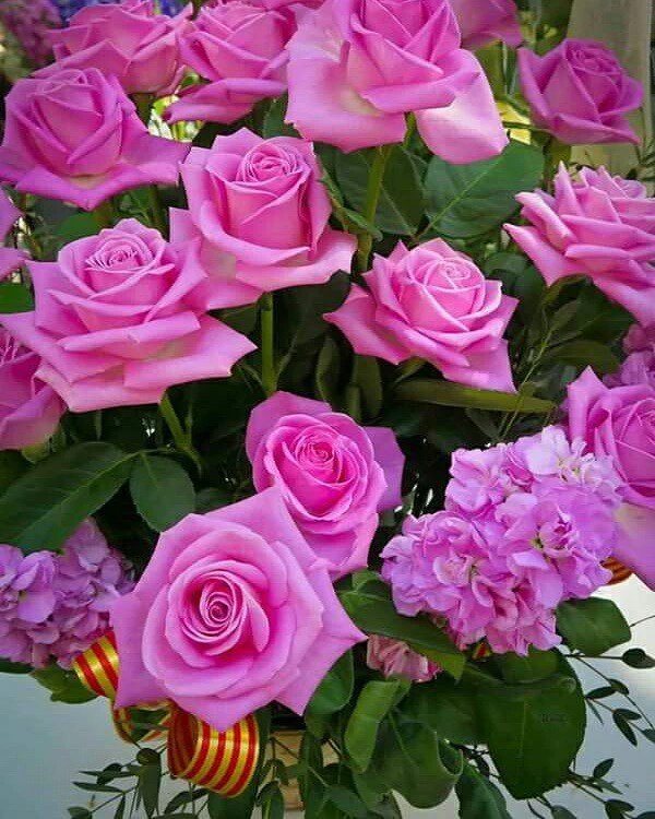 Galcms's tweet image. Boa noite!!!