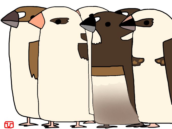 ジュウシマツのtwitterイラスト検索結果 古い順 ジュウシマツのtwitterイラスト検索結果 古い順