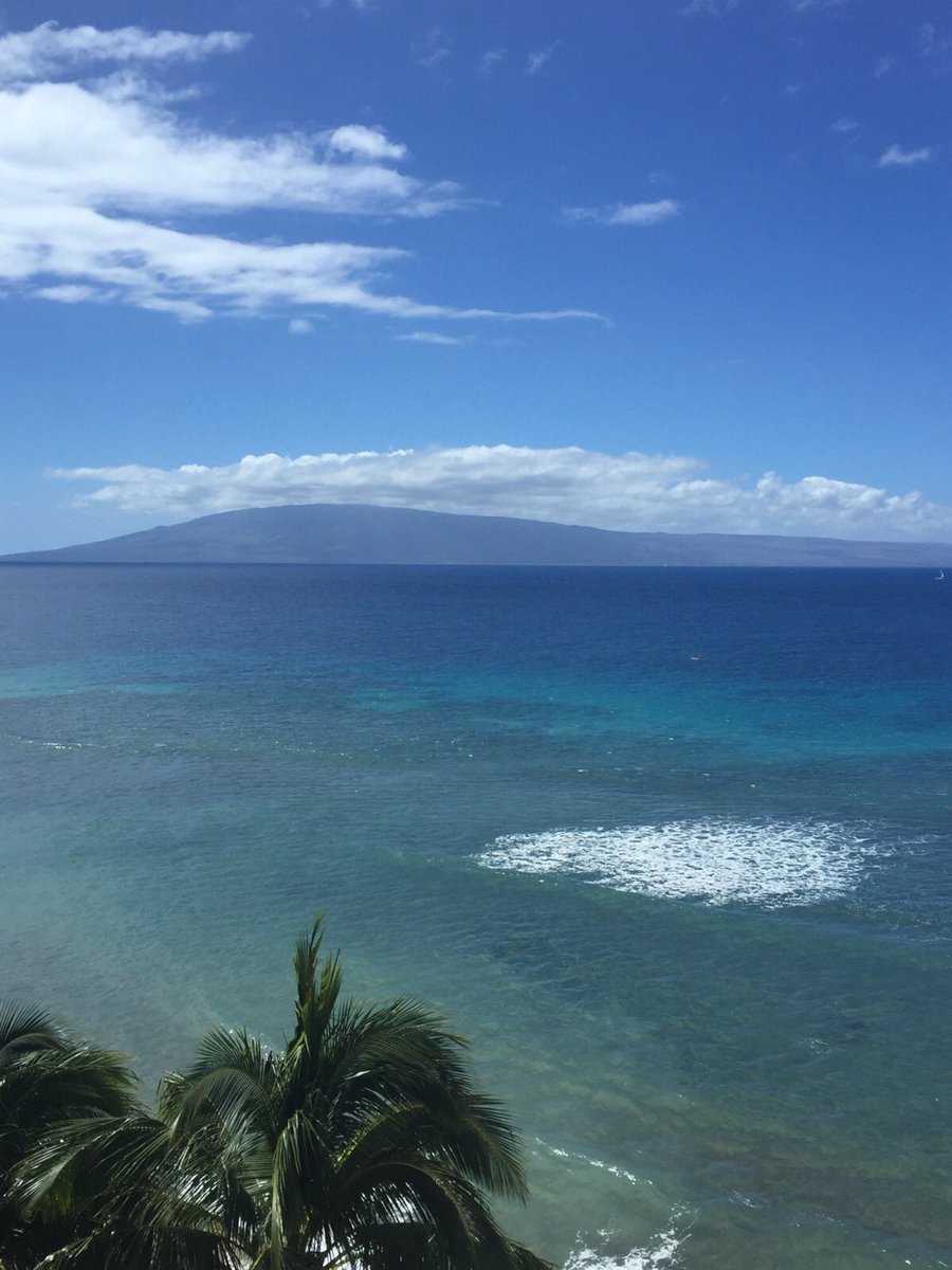 ashleypupel's tweet photo. The view from my parents condo in Hawaii #fuckyaboth https://t.co/ZEcvRWL3Jk