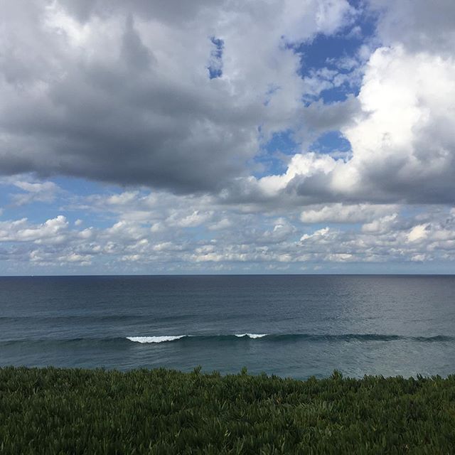 randomgrounds's tweet image. buff.ly/1OB0EKe