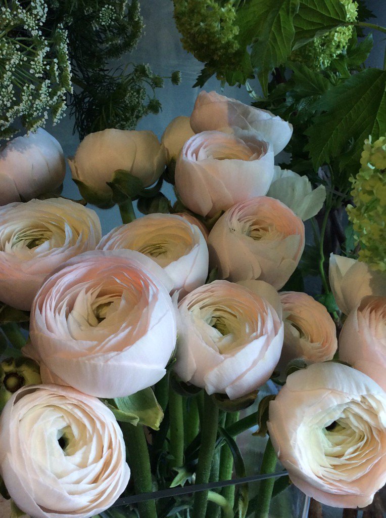 Happy Valentine's Day to everyone !