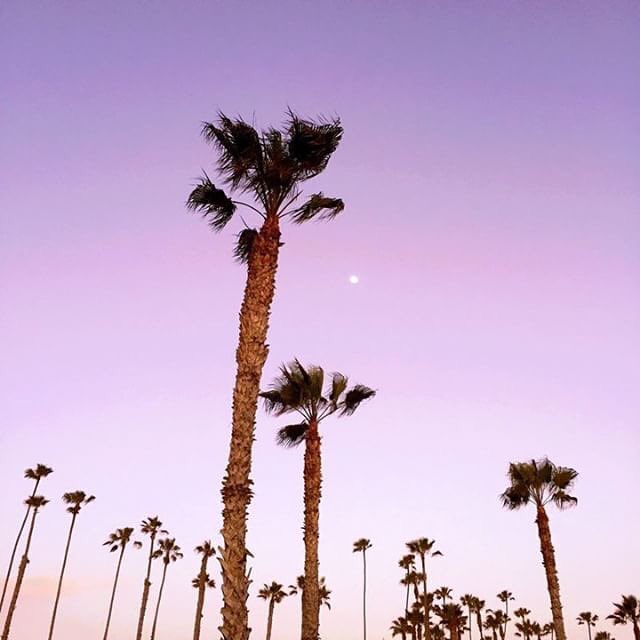 afapancan's tweet photo. Purple sky at night, AFA's delight 🌄 #endpancan #purplepower #hope https://t.co/oeg1ehNhyQ