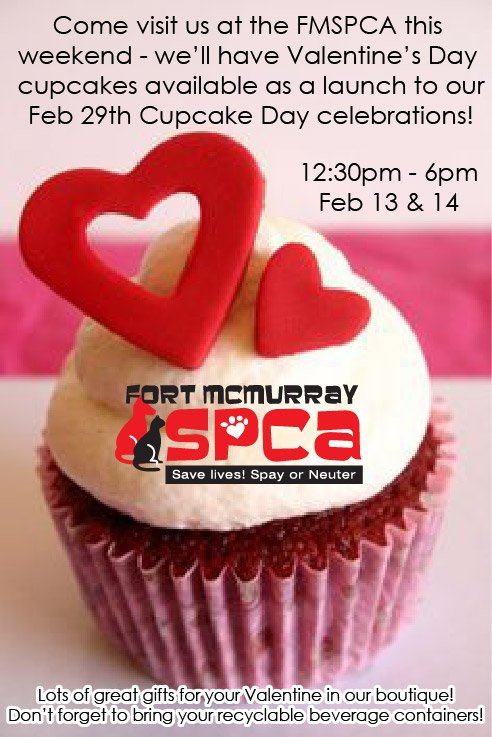 FMSPCA's tweet photo. Come up to the #fmspca this weekend and get your #Valentine #cupcake to kick off Cupcake Day celebrations #ymm #cake https://t.co/QRbddGy6Ab