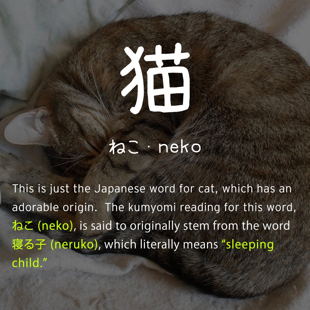 RomySensei's tweet photo. Weekend rehash - 猫 - a very common word, but with a very cute origin! #japanese #kanji #nihongo https://t.co/KSqHjRYbAF