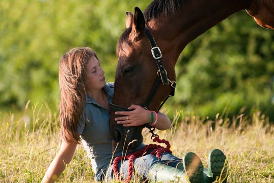 StableStop's tweet photo. It might be Valentine's Day, but you'll find me with my horse. Who's with me?!
#ValentinesDay #tobespentwithhorses https://t.co/Gx8RGNTr49