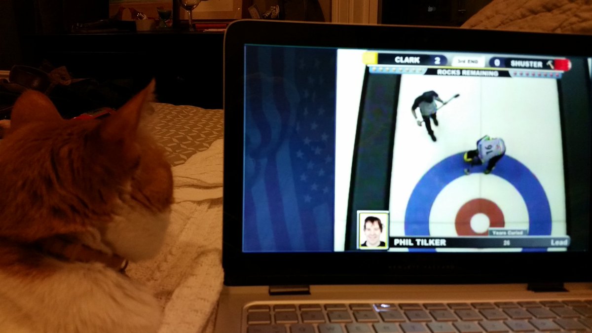 onepancakeonly's tweet photo. Pickle is enjoying the men's final. @2016CurlingNats @12thEndSports https://t.co/xqLQslLYtz