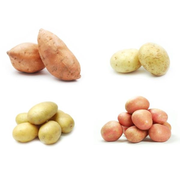 anabolicminds's tweet photo. Are Sweet Potatoes Actually Healthier Than White… https://t.co/AmDSje20GJ #Nutrition #Research #fibercontent https://t.co/2aYT0hdeA4
