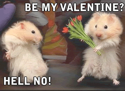 MusicGurl8192's tweet photo. All loveless love birds out there.. let's just love each other.  #VDay #singlepringlenotreadytomingle #thatwaslong https://t.co/BbgQ60Hf3o