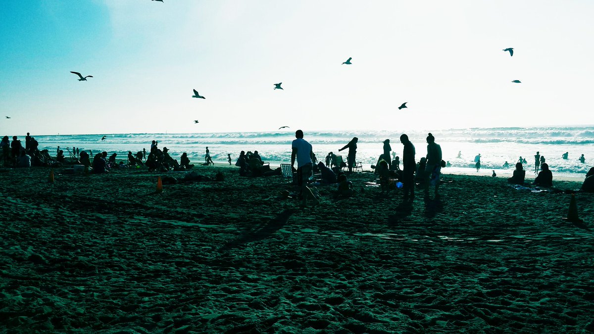 Crystal Trepanier tweet media