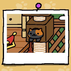 bombusbee's tweet photo. #ねこあつめ https://t.co/1G1NULPjBt
