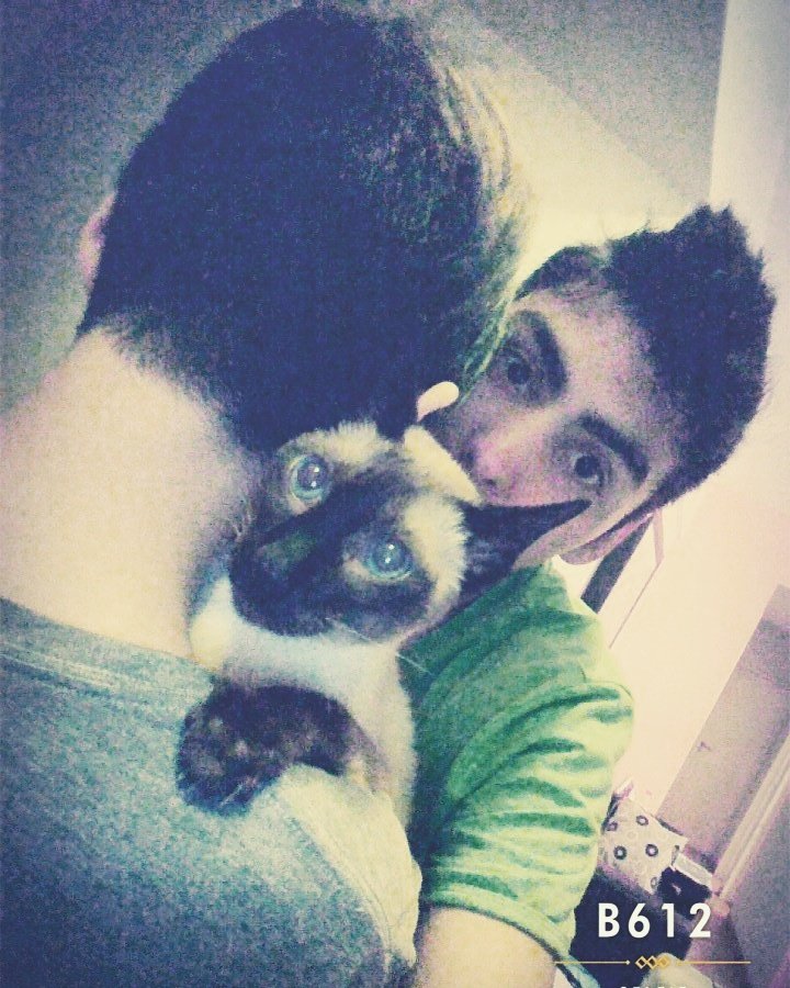 m4uretho's tweet photo. Un pino!!!! :3 https://t.co/LtPcQVJBWO