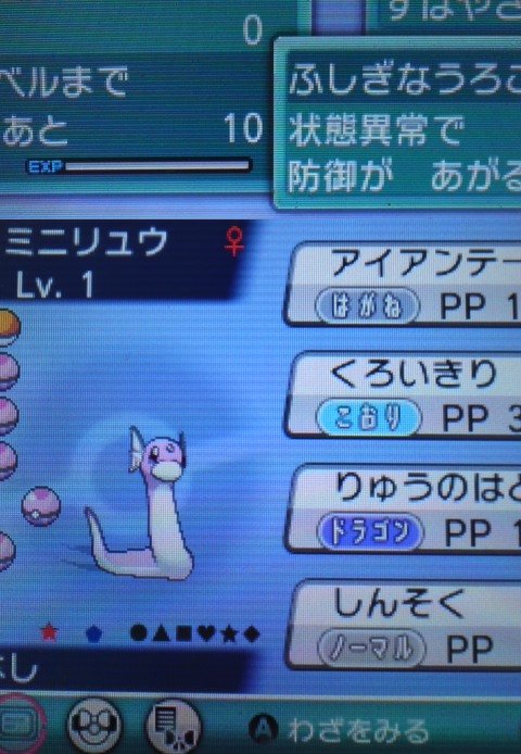 A List Of Arekibot S Photographs And Videos Whotwi Graphical Twitter Analysis