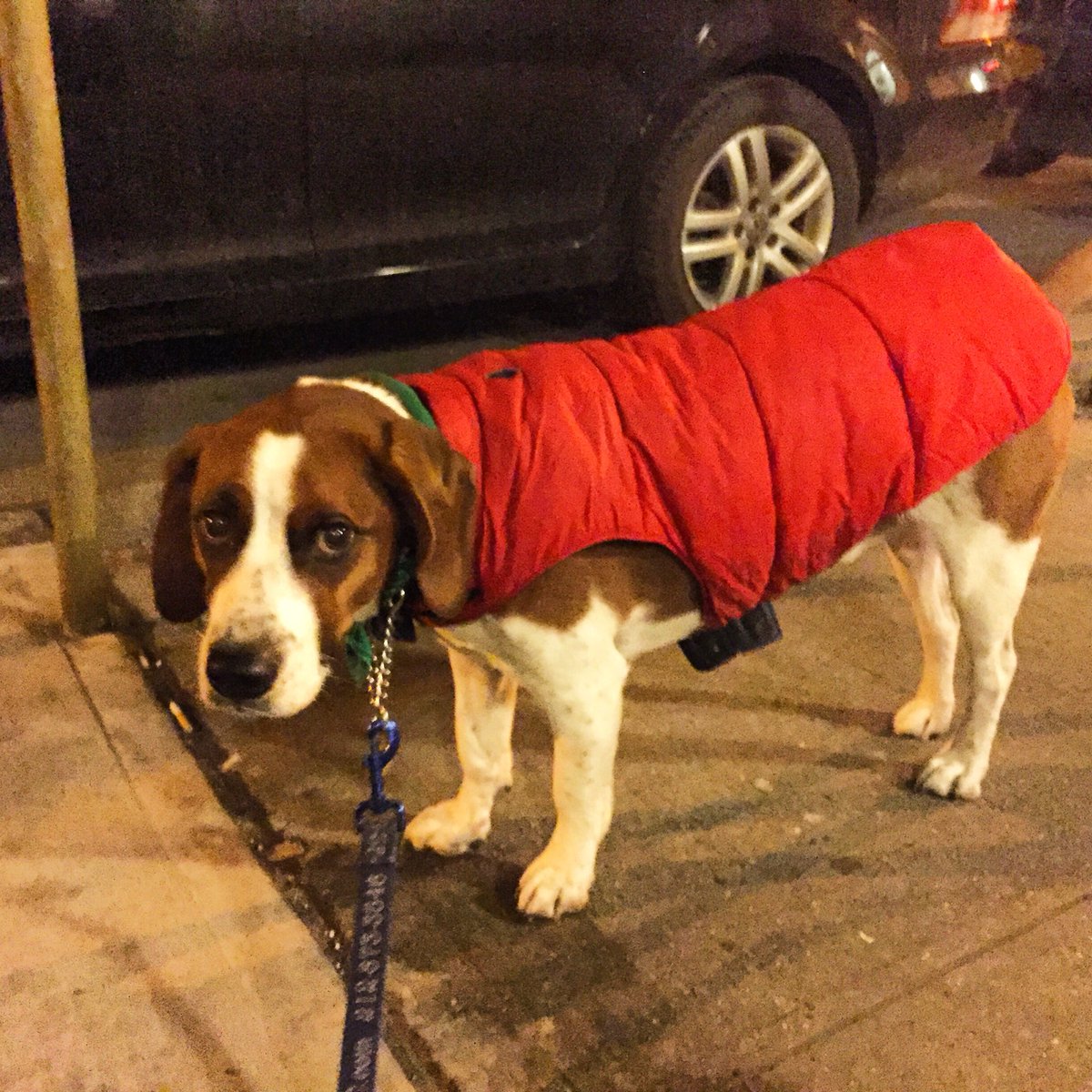 TheRealWacha's tweet photo. Cold https://t.co/2Xt5BaKAZv